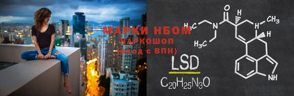PSILOCYBIN Абаза