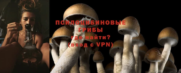 ECSTASY Абинск