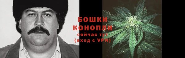 PSILOCYBIN Абаза