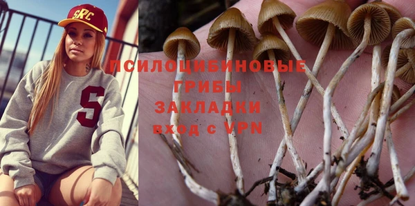 PSILOCYBIN Абаза