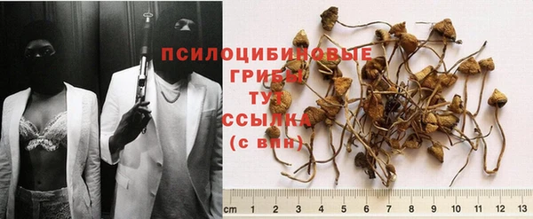ECSTASY Абинск