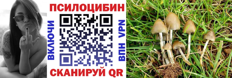 Галлюциногенные грибы мицелий  Райчихинск 